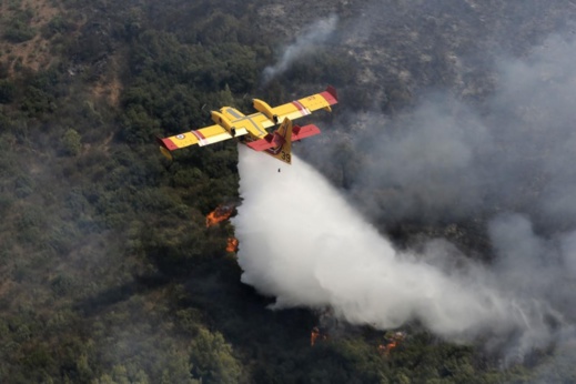 بعد رفضها تدخل المغرب.. الجزائر تستأجر طائرتين لإخماد الحرائق الغابوية بعد رفضها تدخل المغرب.. الجزائر تستأجر طائرتين لإخماد الحرائق الغابوية