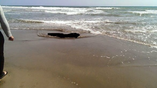 جثة مجهولة قرب شاطئ كيمادو تستنفر السلطات الأمنية بالحسيمة جثة مجهولة قرب شاطئ كيمادو تستنفر السلطات الأمنية بالحسيمة