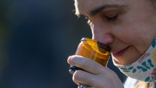 أخصائي يكشف طريقة استرجاع حاسة الشم بعد فقدانها بسبب فيروس كورونا أخصائي يكشف طريقة استرجاع حاسة الشم بعد فقدانها بسبب فيروس كورونا