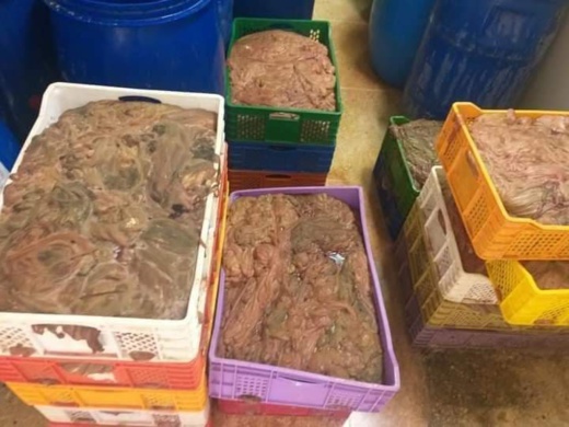 حجز مواد غذائية فاسدة تُستعمل في تحضير الكاشير ببركان حجز مواد غذائية فاسدة تُستعمل في تحضير الكاشير ببركان