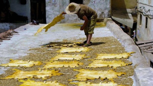 اكتشاف علمي جديد.. أول لباس في التاريخ صنع في المغرب قبل 120 ألف سنة اكتشاف علمي جديد.. أول لباس في التاريخ صنع في المغرب قبل 120 ألف سنة