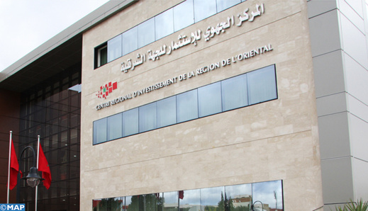 جهة الشرق .. 300 فرصة عمل في قطاع الطيران لفائدة الشباب جهة الشرق .. 300 فرصة عمل في قطاع الطيران لفائدة الشباب