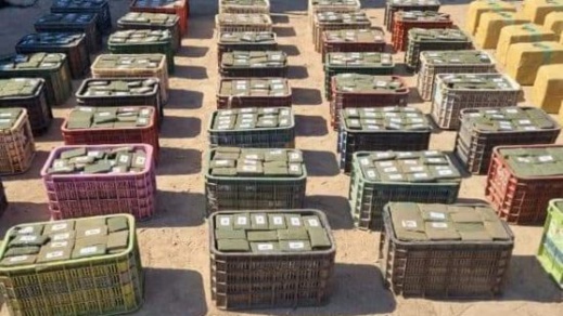 حجز أطنان من مخدر الشيرا في ضيعة فلاحية حجز أطنان من مخدر الشيرا في ضيعة فلاحية 