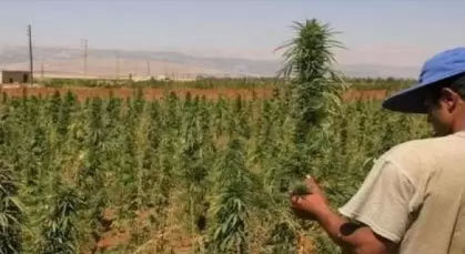 العشرات من قرى جبال الريف مهددة بالعطش بسبب جشع بارونات المخدرات العشرات من قرى جبال الريف مهددة بالعطش بسبب جشع بارونات المخدرات