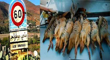 شبح القنص العشوائي يهدد الثروة الحيوانية بمنطقة بني بوفراح بالحسيمة قبيل إنطلاق موسم الصيد شبح القنص العشوائي يهدد الثروة الحيوانية بمنطقة بني بوفراح بالحسيمة قبيل إنطلاق موسم الصيد