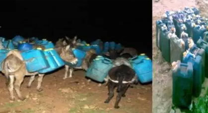 وقود جزائري ملوث يروج بالمناطق الشرقية و يتسبب في أعطاب مكلفة للمحركات وقود جزائري ملوث يروج بالمناطق الشرقية و يتسبب في أعطاب مكلفة للمحركات