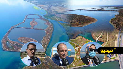 سعيد زرو يتفقد منتزه الطيور بكورنيش مارتشيكا بمعية وفد وازن من الخبراء والباحثين سعيد زرو يتفقد منتزه الطيور بكورنيش مارتشيكا بمعية وفد وازن من الخبراء والباحثين