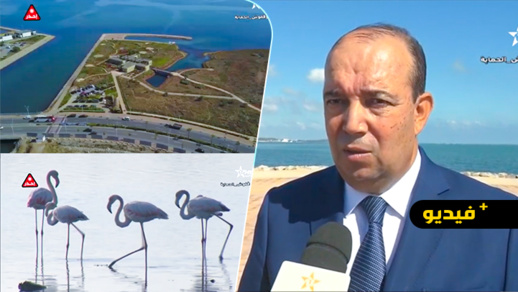 شاهدوا.. القناة الأمازيغية تسلط الضوء على مشروع منتزه الطيور العالمي بكورنيش الناظور شاهدوا.. القناة الأمازيغية تسلط الضوء على مشروع منتزه الطيور العالمي بكورنيش الناظور
