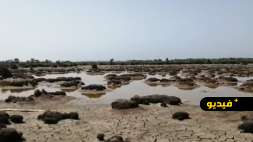 كارثة بيئية خطيرة تهدد جهة الشرق.. نهر ملوية لم يعد يصب في البحر الأبيض المتوسط كارثة بيئية خطيرة تهدد جهة الشرق.. نهر ملوية لم يعد يصب في البحر الأبيض المتوسط