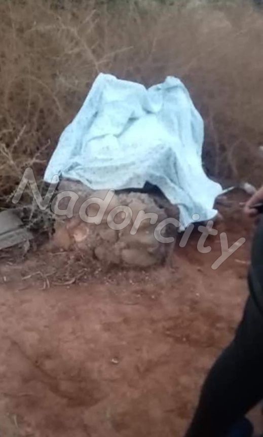 العثور على جثة عامل بناء بغابة المركز بقرية أركمان يستنفر السلطات المحلية ومصالح الدرك الملكي