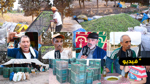 الناظور.. معاصر الزيتون تشرع في إستقبال محصول هذه السنة وفلاحون يؤكدون تراجع الغلة لهذه الأسباب الناظور.. معاصر الزيتون تشرع في إستقبال محصول هذه السنة وفلاحون يؤكدون تراجع الغلة لهذه الأسباب