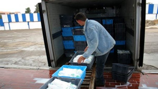 ارتفاع أسعار علف الماشية يهدد بخصاص في مادة الحليب خلال الأشهر المقبلة ارتفاع أسعار علف الماشية يهدد بخصاص في مادة الحليب خلال الأشهر المقبلة