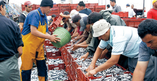 نتائج مرضية لاتفاقية الصيد البحري بين المغرب والاتحاد الأوروبي خلال أزمة كوفيد