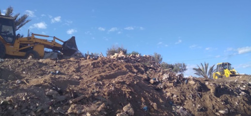  الحشرة القرمزية براس الما تستنفر مكتب الصحة بعمالة الناظور 