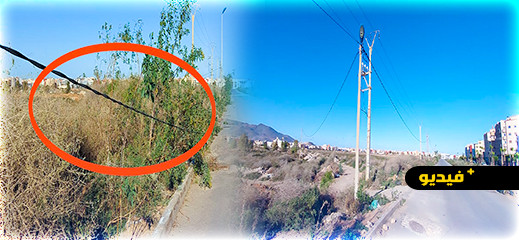 شاهدوا.. أسلاك كهربائية متدلية تهدد سلامة المواطنين