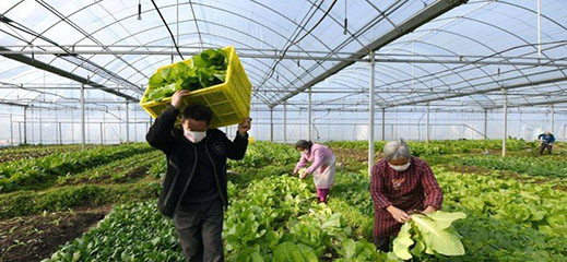 المزارعون الإسبان يضعون الناظور ضمن خططهم المستقبلية لإنعاش شركاتهم الفلاحية