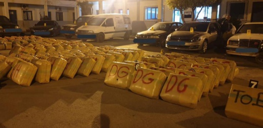 عملية كبيرة.. حجز 12 طن من المخدرات كانت في طريقها لميناء طنجة المتوسط