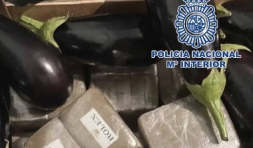 احباط تهريب كمية من الحشيش المغربي في الباذنجان احباط تهريب كمية من الحشيش المغربي في الباذنجان