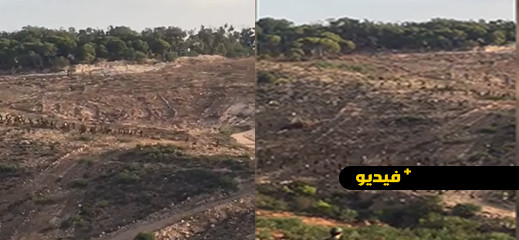 الأمن يطارد المهاجرين في غابة الأمن يطارد المهاجرين في غابة