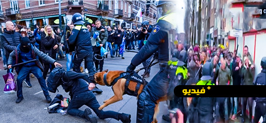 بالفيديو.. الكلاب والهراوات لتفريق محتجين على قيود كورونا بهولندا بالفيديو.. الكلاب والهراوات لتفريق محتجين على قيود كورونا بهولندا