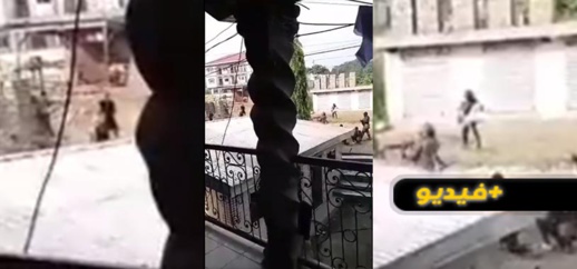 شاهدوا.. مواجهة بالرصاص أمام مكان إقامة المنتخبات المشاركة في كأس أفريقيا بالكاميرون شاهدوا.. مواجهة بالرصاص أمام مكان إقامة المنتخبات المشاركة في كأس أفريقيا بالكاميرون