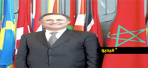 عبد الوهاب بلوقي: تسع سنوات من التمثيل المشرف للمغرب بهولندا