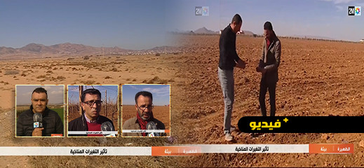 فيديو.. الجفاف بالناظور وقلة مياه السقي يحبطان آمال الفلاحين