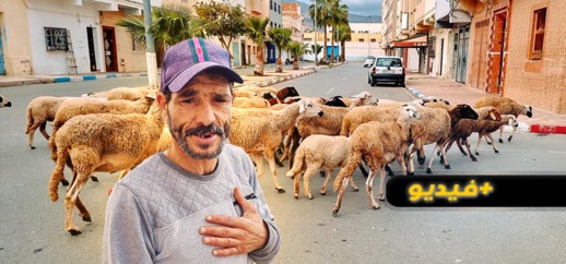 أغنام ضائعة تتجول بحرية في مدينة الناظور.. وهذا ما قام به مواطن لحمايتها من السرقة والحجز أغنام ضائعة تتجول بحرية في مدينة الناظور.. وهذا ما قام به مواطن لحمايتها من السرقة والحجز