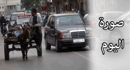 صورة اليوم : وتستمر العربات المجرورة بالحمير تعرقل حركة السير والمسؤولون في دار غفلون صورة اليوم : وتستمر العربات المجرورة بالحمير تعرقل حركة السير والمسؤولون في دار غفلون