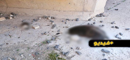 شاهدوا.. قطع رأس وأذن كلب يفترض استعماله في الشعوذة بالناظور