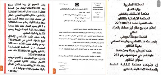 إعلان عن بيع عقار مساحته 5000 م2  في المزاد العلني بأزغنغان