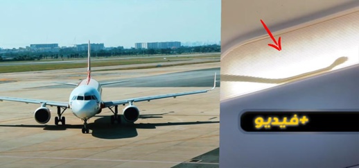 شاهدوا.. ثعبان داخل طائرة يثير الرعب والهلع في صفوف المسافرين شاهدوا.. ثعبان داخل طائرة يثير الرعب والهلع في صفوف المسافرين