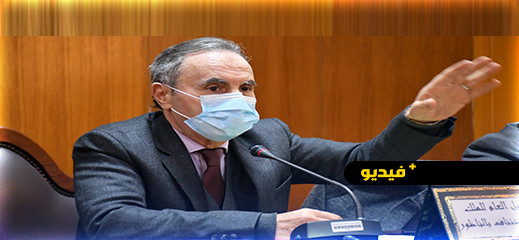 الوكيل العام للملك بالناظور:  العربات المجرورة معنية بقانون السير ولا بد من زجر المخالفات 