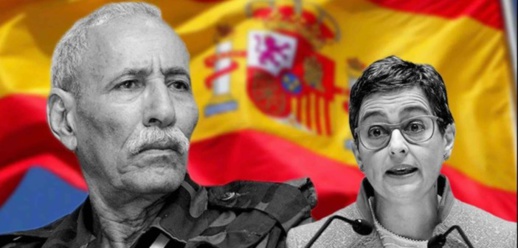 وزيرة الخارجية الاسبانية السابقة.. دخول "بن بطوش" إلى إسبانيا قرار سياسي وزيرة الخارجية الاسبانية السابقة.. دخول "بن بطوش" إلى إسبانيا قرار سياسي