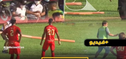 فيديو.. أفعى داخل ملعب تثير الرعب وتوقف مباراة لكرة القدم