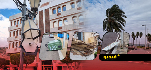 شاهدوا.. رياح قوية تقتلع الأشجار ومصابيح الإنارة وتفرغ شوارع الناظور من المواطنين