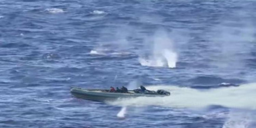 مطاردة هوليودية لفانطوم بالحسيمة تمكن من حجز كمية هامة من المخدرات مطاردة هوليودية لفانطوم بالحسيمة تمكن من حجز كمية هامة من المخدرات