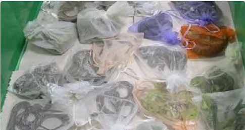 مهرب يضع ثعابين في سرواله والجمارك تحبط العملية مهرب يضع ثعابين في سرواله والجمارك تحبط العملية
