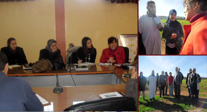 ممثلة البنك الدولي "سونغ لي" تمسمان من أجل "الزيتون" ممثلة البنك الدولي "سونغ لي" تمسمان من أجل "الزيتون"