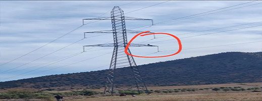 مهاجر مغربي ينتحر من فوق عمود كهربائي في ظروف غامضة مهاجر مغربي ينتحر من فوق عمود كهربائي في ظروف غامضة