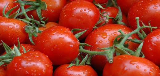 لعجب.. الحكومة: ماطيشة ثمنها ما بين درهمين و 4 دراهم