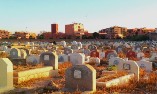 أراد دفن قطة في مقبرة بأجدير.. الدرك يحقق مع أجنبي بالحسيمة أراد دفن قطة في مقبرة بأجدير.. الدرك يحقق مع أجنبي بالحسيمة