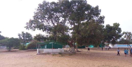 هل سيحرم أطفال الناظور من التخييم.. "عطلة للجميع" تعود بعد عامين لكن بشروط هل سيحرم أطفال الناظور من التخييم.. "عطلة للجميع" تعود بعد عامين لكن بشروط