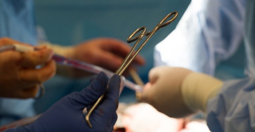 تفكيك شبكة إجرامية خطيرة تتاجر في الأعضاء البشرية تفكيك شبكة إجرامية خطيرة تتاجر في الأعضاء البشرية