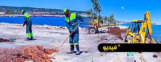 بعد تراكم أطنان من الطحالب ومخلفات الفيضان.. هكذا تم تنظيف كورنيش المدينة