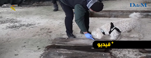 فيديو.. الحرس المدني الاسباني يبحث عن رفات مغربي اختفى منذ 2018 فيديو.. الحرس المدني الاسباني يبحث عن رفات مغربي اختفى منذ 2018