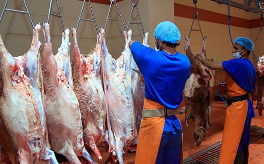 مهاجمة مارين لوبان لطريقة الذبح الإسلامية تثير مخاوف المسلمين بفرنسا مهاجمة مارين لوبان لطريقة الذبح الإسلامية تثير مخاوف المسلمين بفرنسا