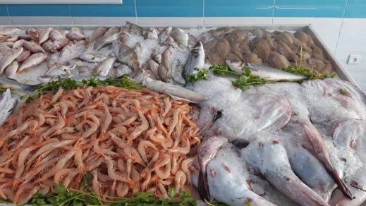 إرتفاع صاروخي في أسعار الأسماك بأسواق الناظور