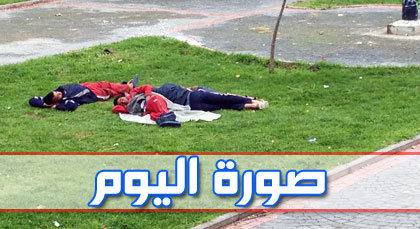 صورة اليوم : قيلولة في حديقة عمومية لمتشرديْن لا مأوى ولا ملجأ لهما صورة اليوم : قيلولة في حديقة عمومية لمتشرديْن لا مأوى ولا ملجأ لهما