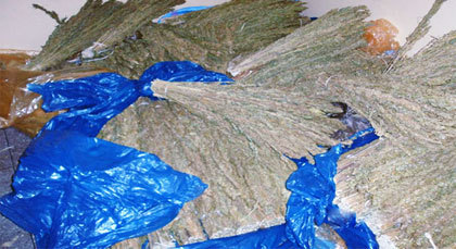 بالصور: حَجْـز كِمِّيَة مُهمة من مادتَيْ "الكِيفْ" و"الطَّابَة" كَانَتَا عَلَى متن دَوَاب ببلدة امزاورو بتمسمان بالصور: حَجْـز كِمِّيَة مُهمة من مادتَيْ "الكِيفْ" و"الطَّابَة" كَانَتَا عَلَى متن دَوَاب ببلدة امزاورو بتمسمان